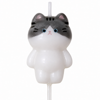 Gray Cat