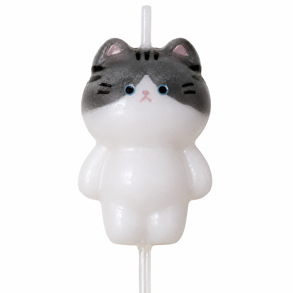 Birthday Candle
